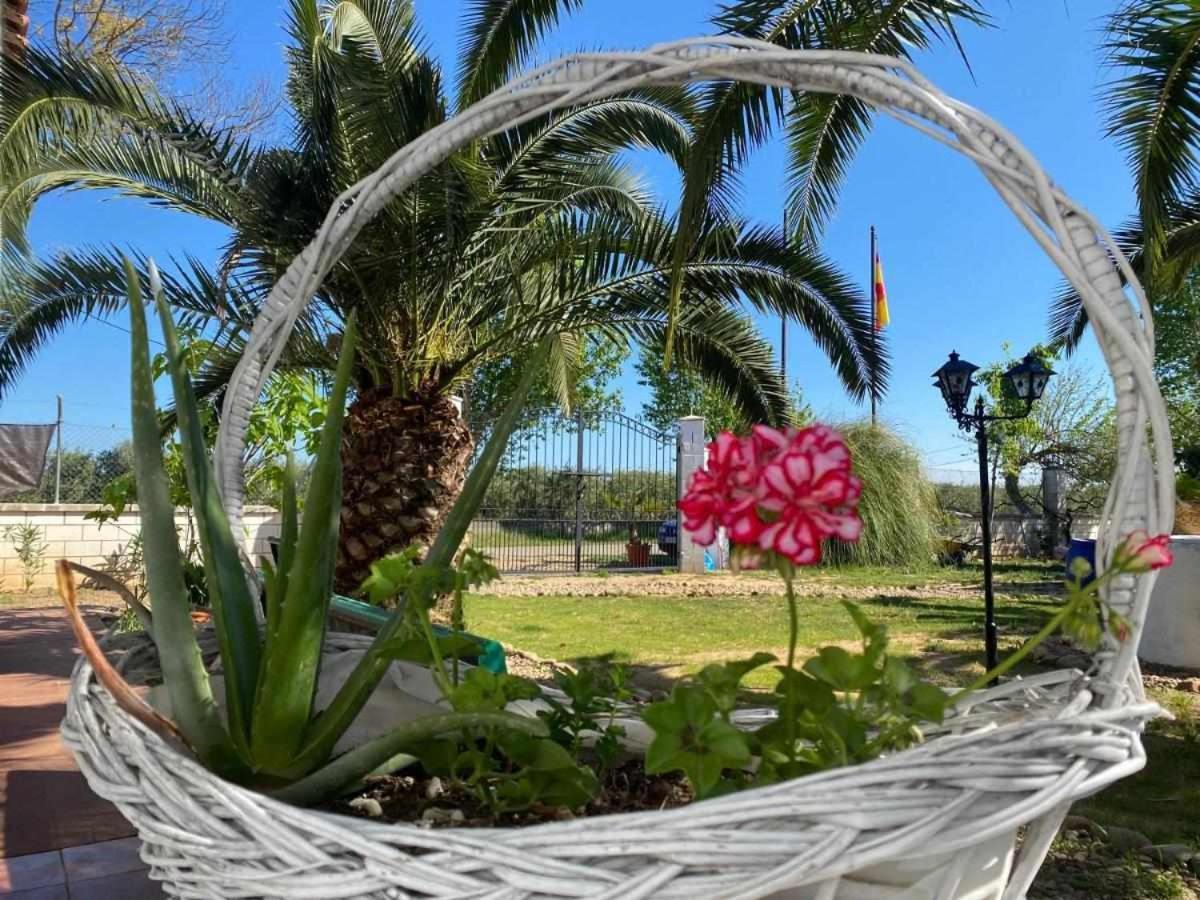 Hotel Rural Villa Torreaguila Badajoz Ngoại thất bức ảnh
