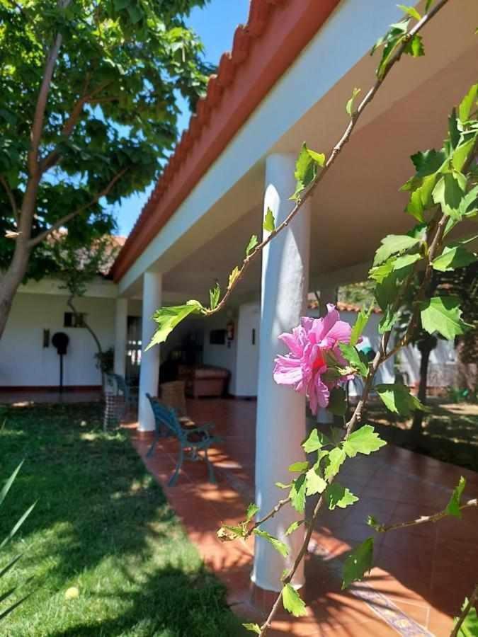 Hotel Rural Villa Torreaguila Badajoz Ngoại thất bức ảnh