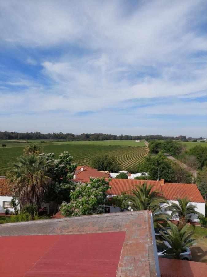 Hotel Rural Villa Torreaguila Badajoz Ngoại thất bức ảnh