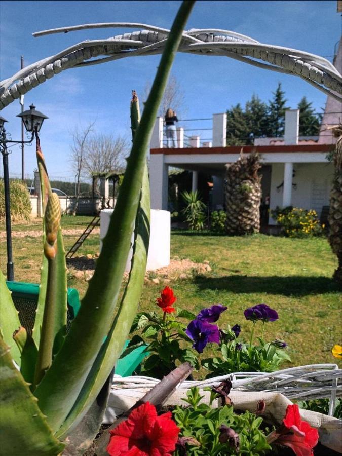 Hotel Rural Villa Torreaguila Badajoz Ngoại thất bức ảnh